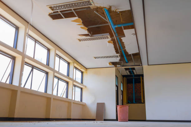 Best Professional water damage repair  in Hillsboro, MO