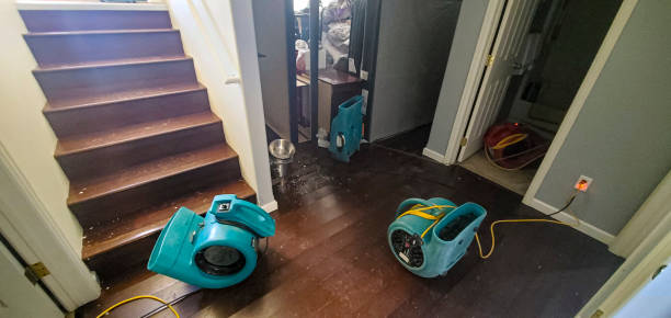 Best 24-hour water damage restoration  in Hillsboro, MO