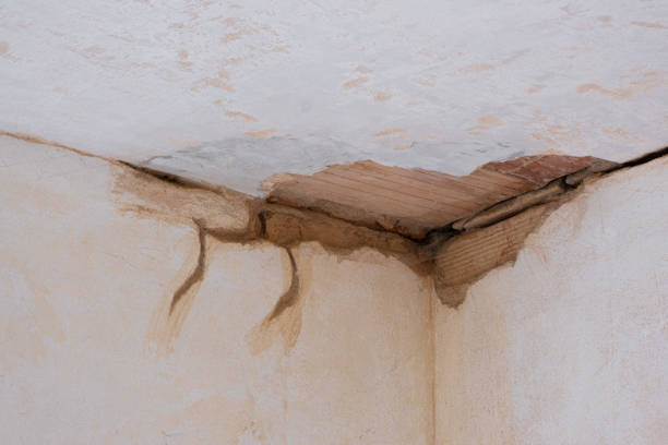Best Water damage restoration near me  in Hillsboro, MO