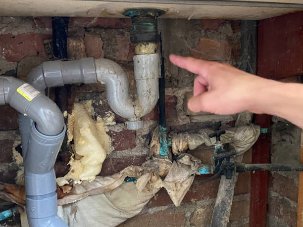  Hillsboro, MO Water damage restoration Pros