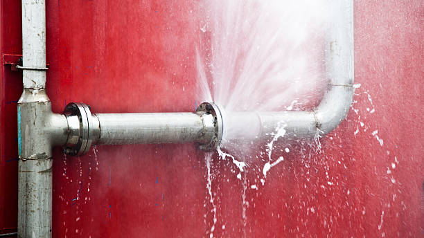 Best Flood damage cleanup  in Hillsboro, MO