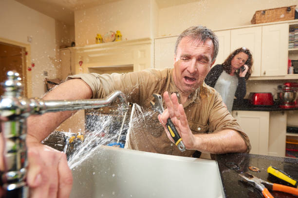 Best 24/7 water damage repair  in Hillsboro, MO
